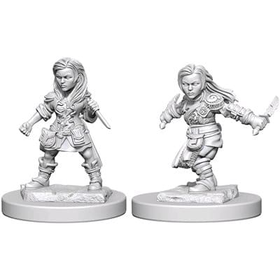 NMM Halfling Rogue Female 72627 image 0